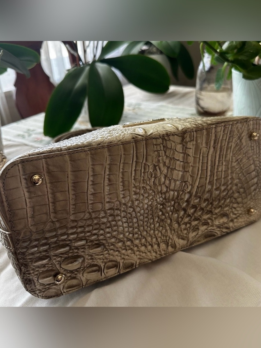 TRADE FOR ROBIN $398 BRAHMIN - Picture 8 of 9